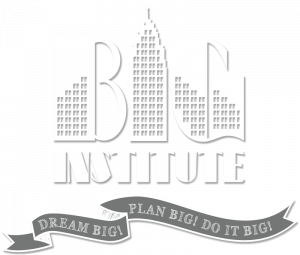 The Big Institute logo